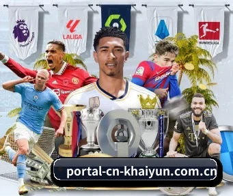 portal-cn-khaiyun.com.cn APP - kaiyun