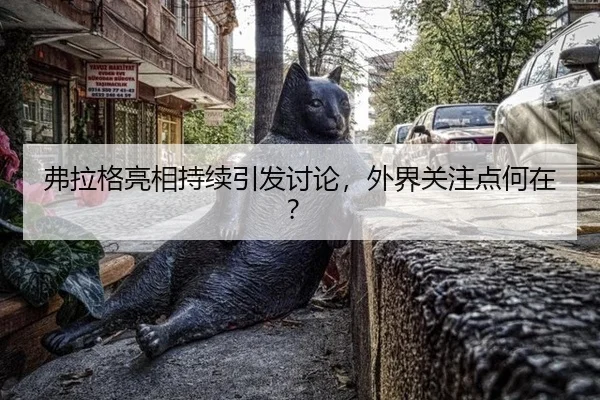 弗拉格亮相持续引发讨论，外界关注点何在？ - kaiyun